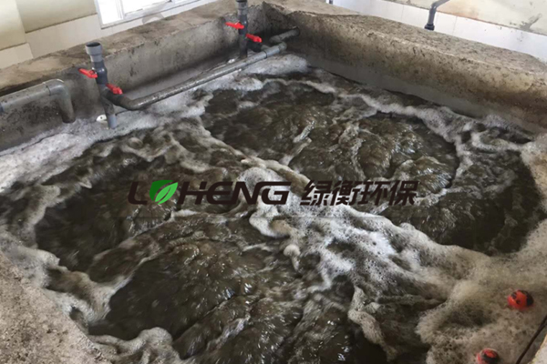 南京某豆制品加工废水处理工程